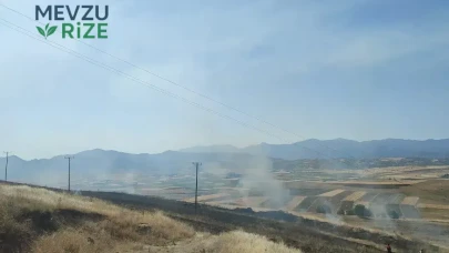 Elazığ'da Rüzgarın Şiddetiyle Alevler 40 Dönüm Arpa Tarlasını Yok Etti!