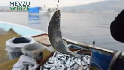 Marmara Denizi'nde Balık Popülasyonu Tehdit Altında: Korkutucu Rapor Açıklandı!