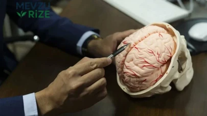 Erkek Beyin Gelişimi 32 Yaşına Kadar Devam Ediyor: Yeni Araştırma Sonuçları Açıklandı!