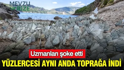 "Sayısız Yıldız Parçacığı Aynı Anda Yeryüzüne Düştü: Bilim Dünyası Şaşkın!"