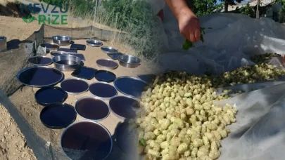 Malatya'da Dut Pekmezinin Kilosu İle İlgili Şaşırtıcı Fiyatlar Gündemde!