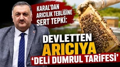 Karal'dan Arıcılık Tebliğine Sert Tepki: Devletten Arıcıya Deli Dumrul Tarifesi