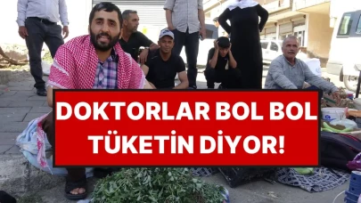 Bahçelerin Gizli Hazinesi: Doğal D Vitamini Pazarında Yeni Bir Ekonomi Başlıyor