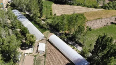 Bayburt İl Tarım ve Orman Müdürlüğü ile Doğu Karadeniz Projesi (DOKAP) Bölge Kalkınma İdaresi Başkanlığı iş birliğinde y