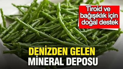 Denizden Elde Edilen Mineral Zenginliği: Tiroid ve Bağışıklık Sistemine Doğal Destek Sağlıyor!