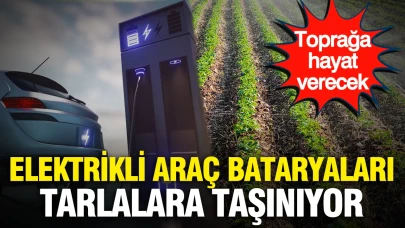 Elektrikli araç bataryaları tarlalara taşınıyor: Toprağa hayat verecek