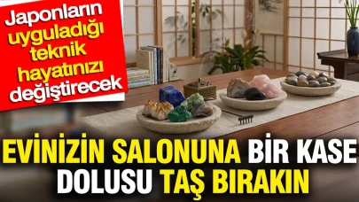 Evinizdeki Salona Taş Kase Koyarak Japonların Hayat Değiştiren Yöntemini Deneyin!