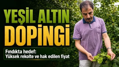 Fındıkta Yeni Sezon İle İlgili Üreticilerin Taban Fiyatı Beklentileri ve Tahlilleri!
