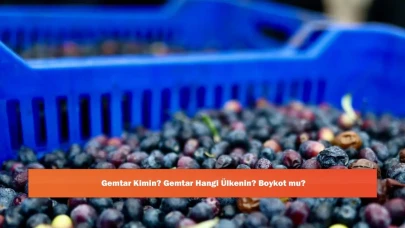 Gemtar Kimin? Gemtar Hangi Ülkenin? Boykot mu?