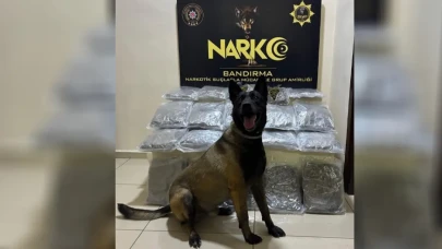 Gübre Torbaları Altında Saklanan Kaçaklar, Geçiş İzni Alamadı!