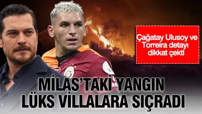 Milas'ta Yangın Lüks Villaları Tehdit Ediyor: Ünlü İsimlerin İlgisi Dikkat Çekti!