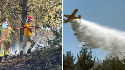 Osmaniye'de alevler rüzgarla şahlandı: Çalılıkta başlayan yangın ormana sıçradı, ekipler teyakkuzda!