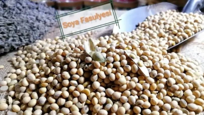 Soya Fasulyesi Fiyatları 26 Aylık Zirveye Ulaştı: Sebepler Neler?