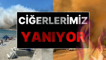 Türkiye'yi Sardı Alevler: 4 İlde Çıkan Yangınlar Korkuttu!