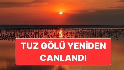 Tuz Gölü’nden Harika Flamingo Manzaraları