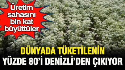 Denizli, Üretim Kapasitesini 1000 Kat Artırdı: Dünya Tüketiminin Yüzde 80'i Burada Gerçekleşiyor!