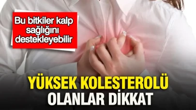 Yüksek Kolesterol Sorunu Olanlar İçin: Kalp Sağlığını Destekleyen Şifalı Bitkiler!