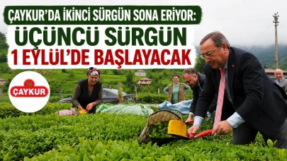 ÇAYKUR’da İkinci Sürgün Sona Eriyor: Üçüncü Sürgün 1 Eylül’de Başlayacak