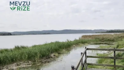 Tekirdağ'da Gölette Su Seviyesi Düşüşü, Balıkların Hayatını Tehdit Ediyor!