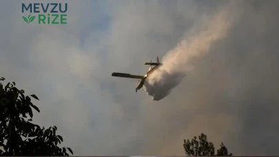 Araç Yangını Ormanda Büyüyerek Kontrol Altına Alındı! Alevler 20. Saatte Sakinleştirildi.