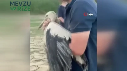 Boğazköy Barajı'nda Çamura Saplanan Leylek Kurtarıldı ve Tedavi Altına Alındı