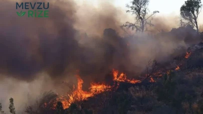 Belçika Meclis Komisyonu, Devasa Orman Yangını Nedeniyle Acil Toplantı Düzenledi