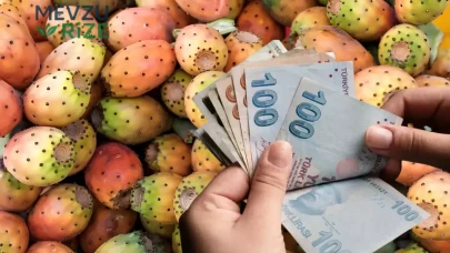 Dikenli İncir: Faydaları ve 2026 Yılı Kilo Fiyatları ile İlgili Bilgiler!