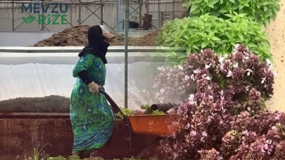 Fesleğenin Sivrisinekleri Uzak Tutma Özelliği İlgi Gördü: Talepte Patlama Yaşandı!