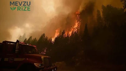 Nevada'da Şiddetli Orman Yangını Nedeniyle 42 Bin Kişi Tahliye Ediliyor!
