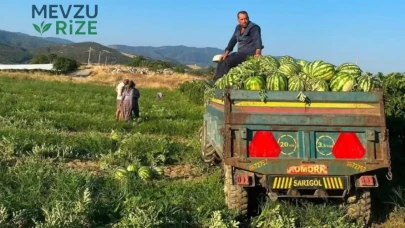 Aracıların Teklifini Reddetti: Üretici Ürününü Kendi Kanalından Satışa Sundu