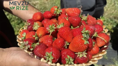 Kalpten Cilde: Hobi Olarak Başladığı İşte Şimdi Siparişlere Yetemiyor!
