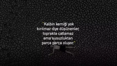 En Keskin Kinayeli Sözler | İnce Göndermeli ve İğneleyici Mesajlar