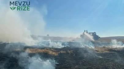 Bolu'da Elektrik Direğindeki Kıvılcım Yangına Neden Oldu: 8 Dekar Alan Yangında Yok Oldu!