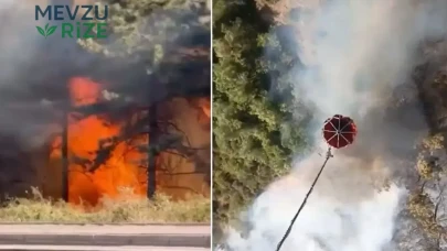 Bursa'da Orman Yangını Alarmı: Kestel ve Yıldırım'da Alevler Yükseliyor!