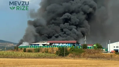 Bolu'daki Geri Dönüşüm Tesisi Alev Alev Yandı!