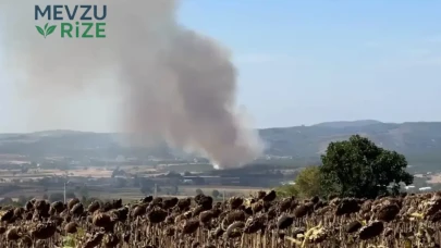 Mudanya'daki Yangın, Ormanlık Alanı Tehdit Ediyor!