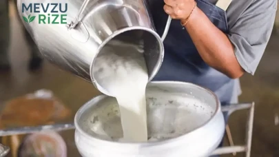 TÜSEDAD'dan Açıklama: Çiğ Süt Üretim Maliyeti Temmuz’da 26,87 TL’ye Düşüş Gösterdi!