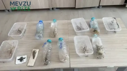 Nemrut Dağı'nda Çekirge Topladıkları İçin İki Kişiye 1,4 Milyon Lira Para Cezası Verildi