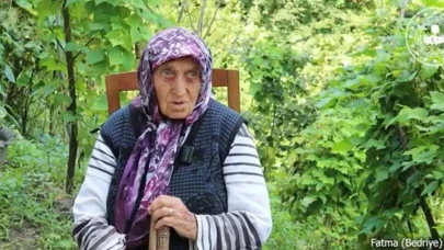 108 Yaşındaki Asırlık Çınar Hayatını Kaybetti