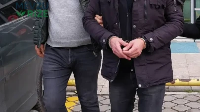 Giresun'da Fındık Hırsızlığı Operasyonu: 7 Kişi Gözaltına Alındı