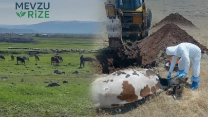 Ardahan'da Kuduz Salgını Endişesi: Bölge Üzerinde Karantina Önlemleri Alındı