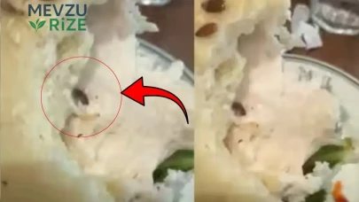 Kahvaltı için gitti, gördükleri karşısında donakaldı: Canlı canlı hareket ediyordu... Mide bulandıran anlar kamerada