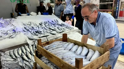 Karadeniz'de Palamut Stoku Patladı: Tezgahlar 200-250 Lira Arasında Renkleniyor!