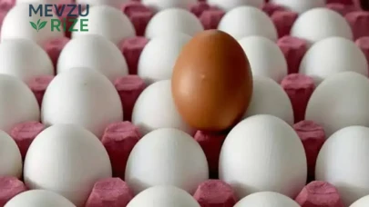Yumurta Tüketiminde Salmonella Tehlikesi: Hastalananların Sayısı Açıklandı!