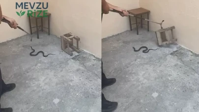 Kars'ta Bahçeye Giren Yılan, İtfaiye Ekiplerinin Müdahalesiyle Yakalandı!