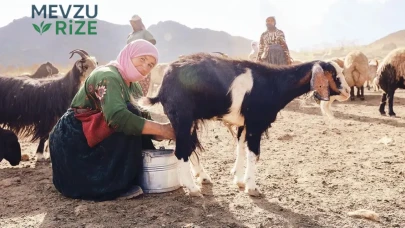 Besin Değerleri Yükseliyor: Yumurta, Süt ve Tavuk Eti Artık Daha Ulaşılabilir!