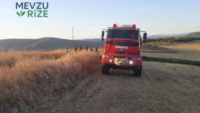 Saraydüzü'nde Anız Yangını Kontrol Altına Alındı!