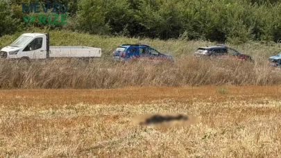 15 gündür kayıptı! 75 yaşındaki adamın cansız bedeni başka bir şehirde tarlada bulundu
