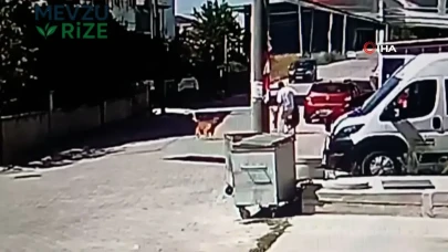 Kapaklı'da Köpek Yürüyüşü Sırasında Feci Saldırı!