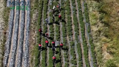 Şehrin Ekonomisinde Yeni Bir Dönem: Zorlu Bakıma Rağmen Kazanç Potansiyeli Yüksek!